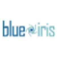 Blue Iris Creative Agency logo, Blue Iris Creative Agency contact details