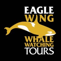 Eagle Wing Whale & Wildlife Tours logo, Eagle Wing Whale & Wildlife Tours contact details