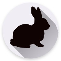 SnapRabbit logo, SnapRabbit contact details