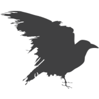 Raven Madvertising logo, Raven Madvertising contact details