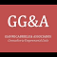 GG&A Consultoria Empresarial Ltda logo, GG&A Consultoria Empresarial Ltda contact details