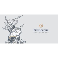 Bristlecone Partners LLC logo, Bristlecone Partners LLC contact details