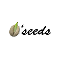 O'seeds logo, O'seeds contact details