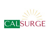 Calsurge logo, Calsurge contact details