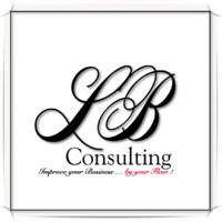 LB Consulting logo, LB Consulting contact details