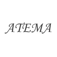 Atema Holdings logo, Atema Holdings contact details