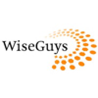 WiseGuys Internet BV logo, WiseGuys Internet BV contact details