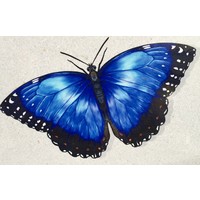 Blue Morpho Skin Spa logo, Blue Morpho Skin Spa contact details