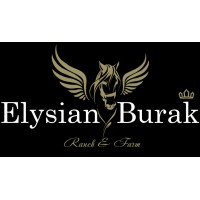 Elysian Burak logo, Elysian Burak contact details