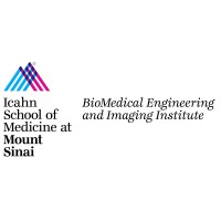 BioMedical Engineering and Imaging Institute (BMEII) logo, BioMedical Engineering and Imaging Institute (BMEII) contact details