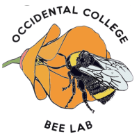 Occidental College's Native Bee Lab logo, Occidental College's Native Bee Lab contact details