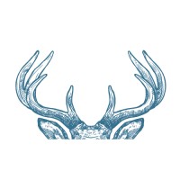 Blue Antler Consulting logo, Blue Antler Consulting contact details