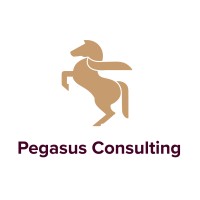 Pegasus Consulting, LLC logo, Pegasus Consulting, LLC contact details