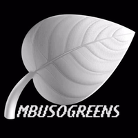 Mbusogreens logo, Mbusogreens contact details