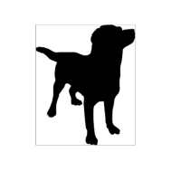 Black Dog Sales Group logo, Black Dog Sales Group contact details