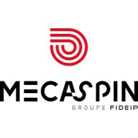 MECASPIN logo, MECASPIN contact details