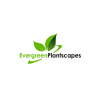 Evergreen Plantscapes logo, Evergreen Plantscapes contact details