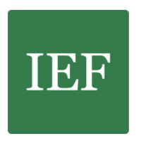 Independent Economics & Finance LLP logo, Independent Economics & Finance LLP contact details