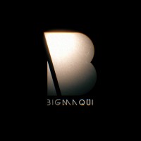 Bigmaqui logo, Bigmaqui contact details