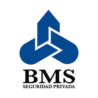 BMS Seguridad México logo, BMS Seguridad México contact details