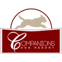 Companions Dog Resort logo, Companions Dog Resort contact details