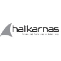 Halikarnas Financial Services and Advisory logo, Halikarnas Financial Services and Advisory contact details