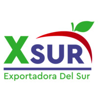 XSUR logo, XSUR contact details