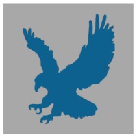 The BlueHawk Group logo, The BlueHawk Group contact details