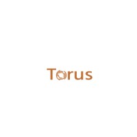 Torus IT Solutions logo, Torus IT Solutions contact details