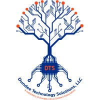 Dundee Technology Solutions, LLC logo, Dundee Technology Solutions, LLC contact details