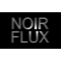 NoirFlux logo, NoirFlux contact details