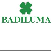 BADILUMA logo, BADILUMA contact details