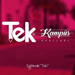 TEK Okulları logo, TEK Okulları contact details