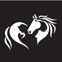 Painted Pony Vineyards logo, Painted Pony Vineyards contact details