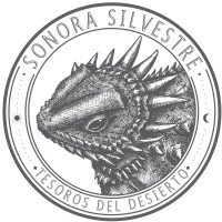 Sonora Silvestre logo, Sonora Silvestre contact details