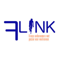 Team FLINK logo, Team FLINK contact details