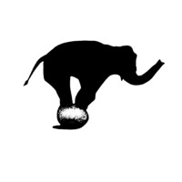 Tiny Elephant logo, Tiny Elephant contact details