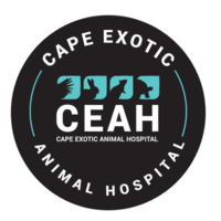 Cape Exotic Animal Hospital logo, Cape Exotic Animal Hospital contact details