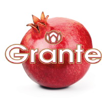 GRANTE LLC logo, GRANTE LLC contact details