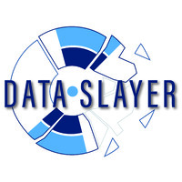 Data Slayer logo, Data Slayer contact details