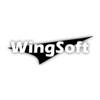 Wingsoft Tecnologia e Inovação logo, Wingsoft Tecnologia e Inovação contact details