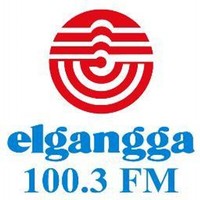 Radio Elgangga logo, Radio Elgangga contact details