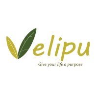 Velipu HQ logo, Velipu HQ contact details