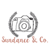 Sundance & Company LLC logo, Sundance & Company LLC contact details