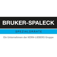 Bruker-Spaleck GmbH logo, Bruker-Spaleck GmbH contact details