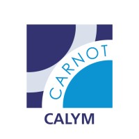 Institut Carnot CALYM logo, Institut Carnot CALYM contact details