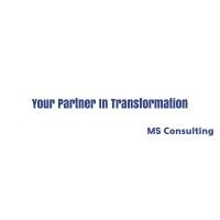 MS Consulting Global logo, MS Consulting Global contact details