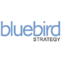 Bluebird Strategy logo, Bluebird Strategy contact details