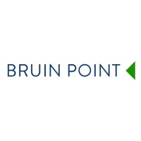 Bruin Point Partners logo, Bruin Point Partners contact details