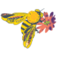 Hippyfly LLC logo, Hippyfly LLC contact details